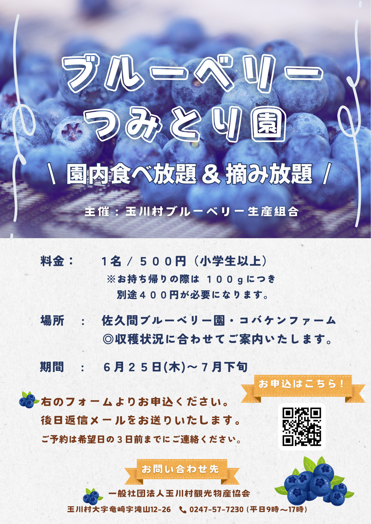 2026 ブルーベリー摘み取りチラシ.png